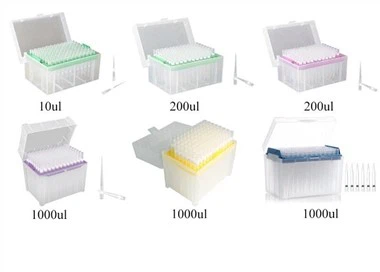 Hộp đầu tip pipet